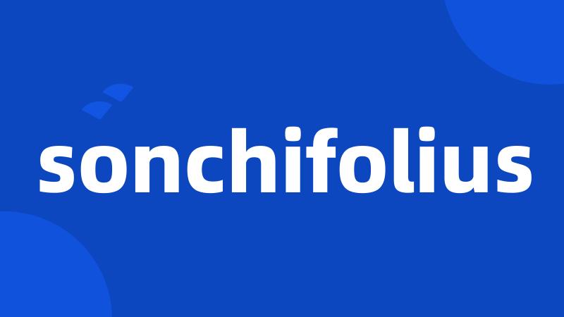 sonchifolius