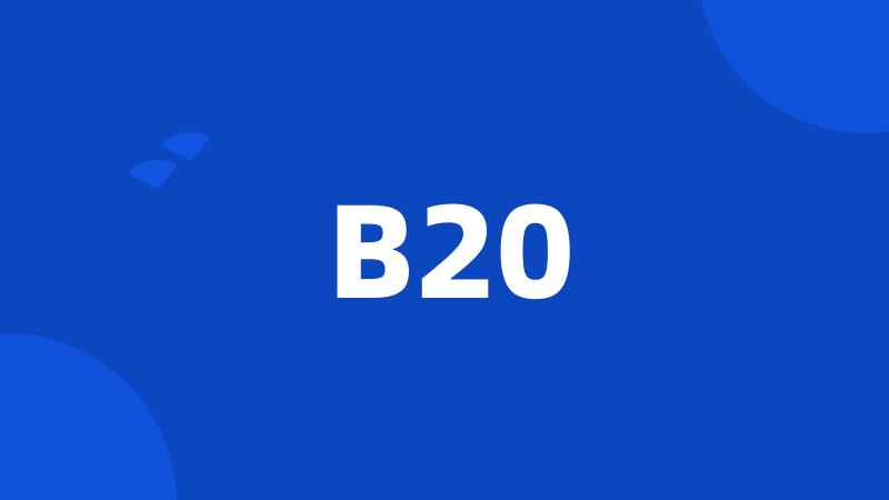 B20