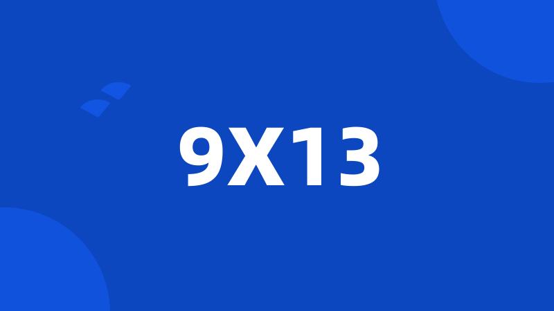 9X13