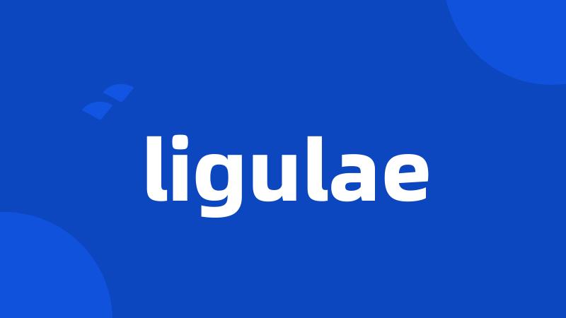 ligulae