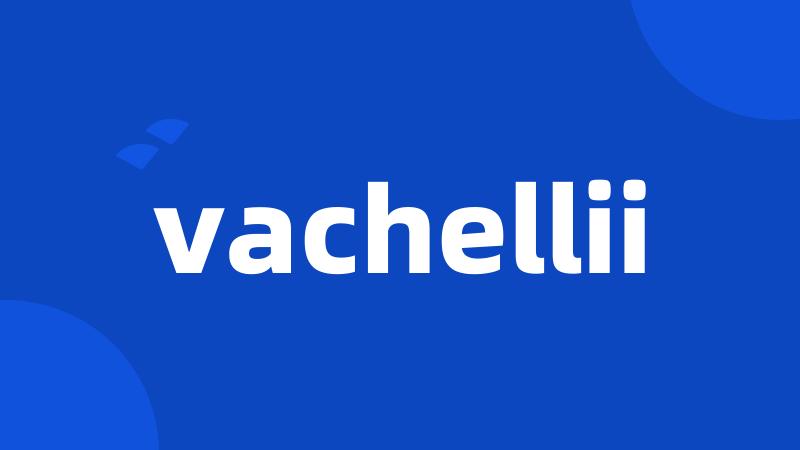 vachellii