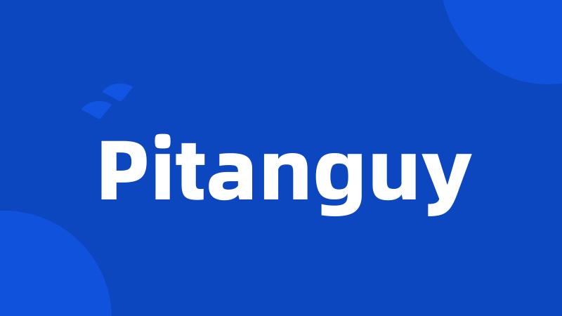 Pitanguy