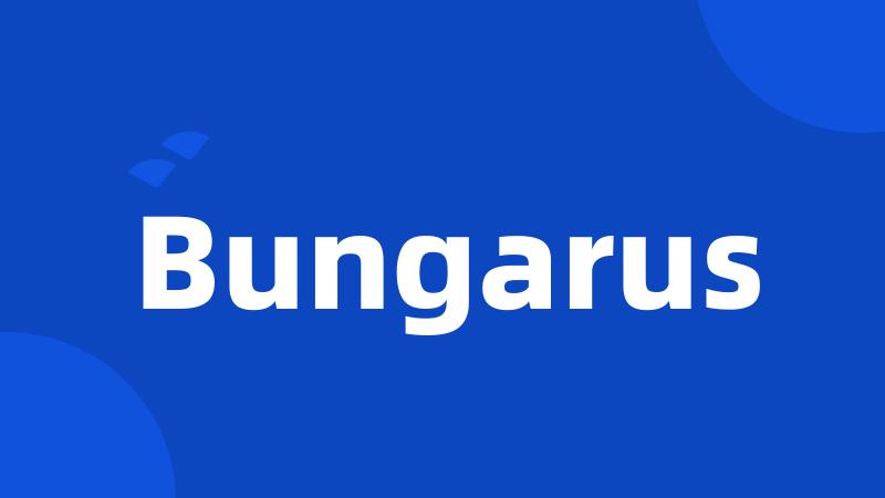 Bungarus