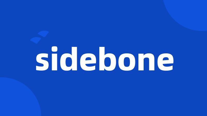 sidebone