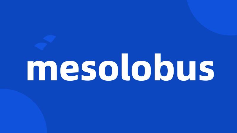 mesolobus