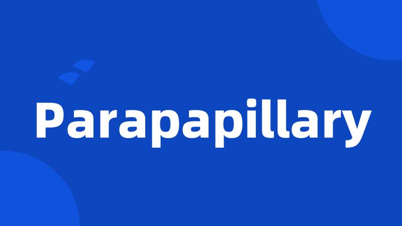 Parapapillary