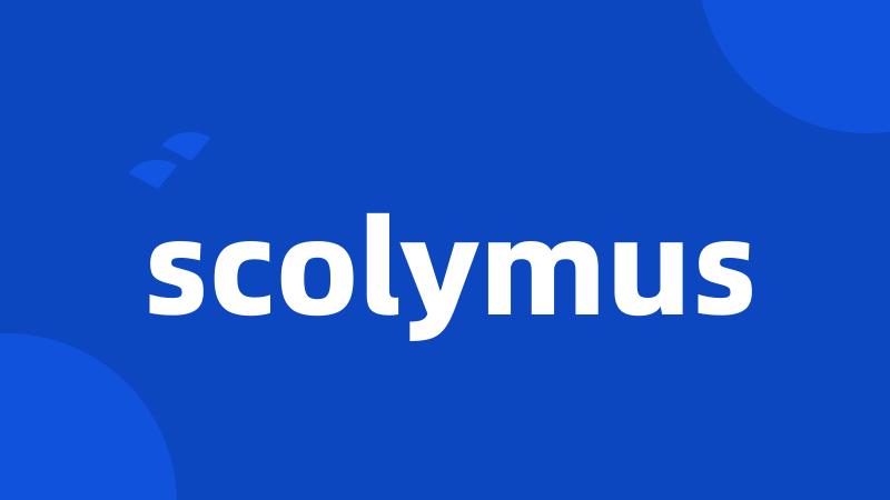 scolymus