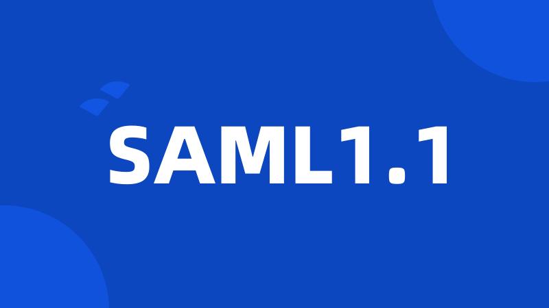 SAML1.1