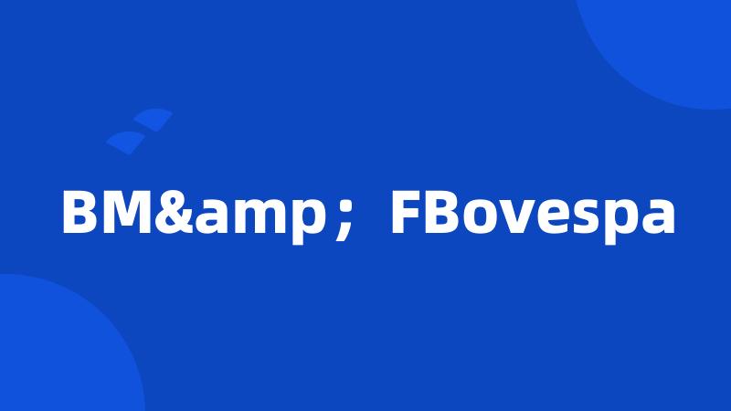 BM&；FBovespa