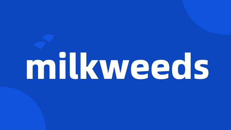 milkweeds