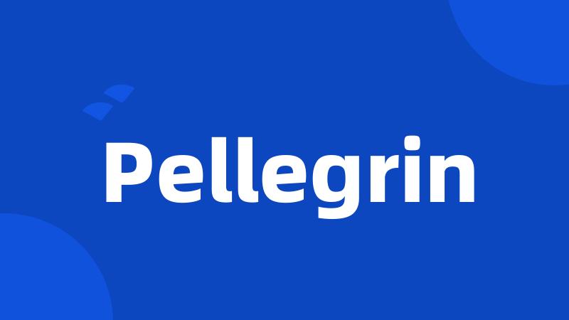 Pellegrin
