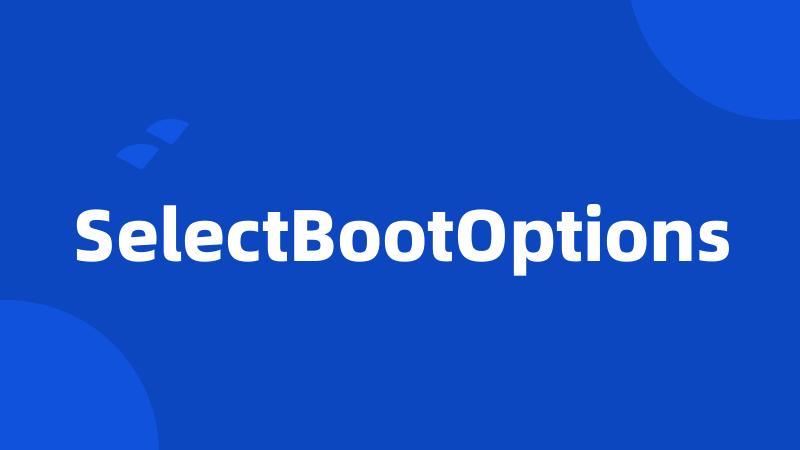 SelectBootOptions