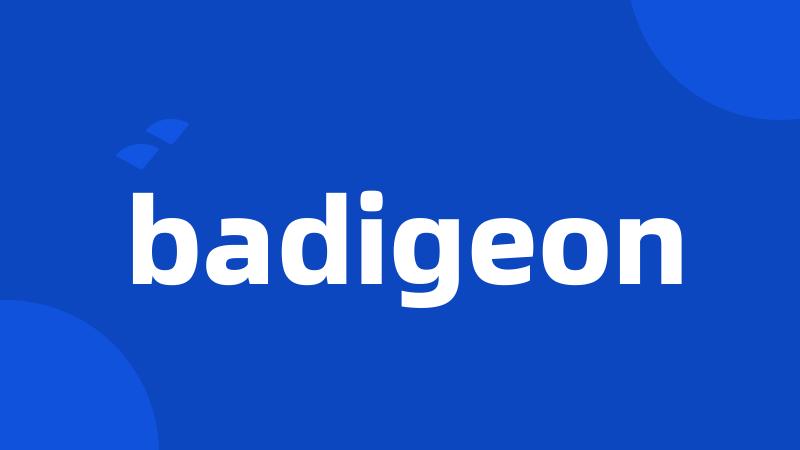 badigeon