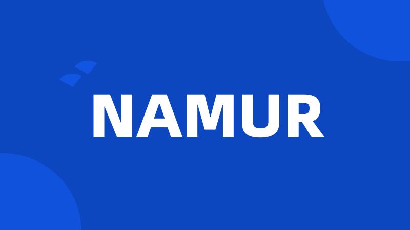 NAMUR