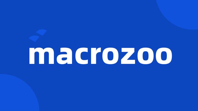 macrozoo