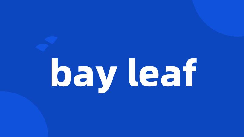 bay leaf