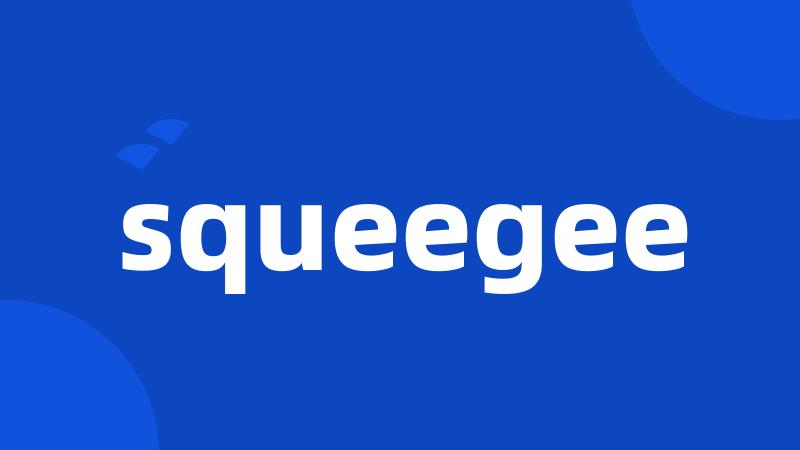 squeegee