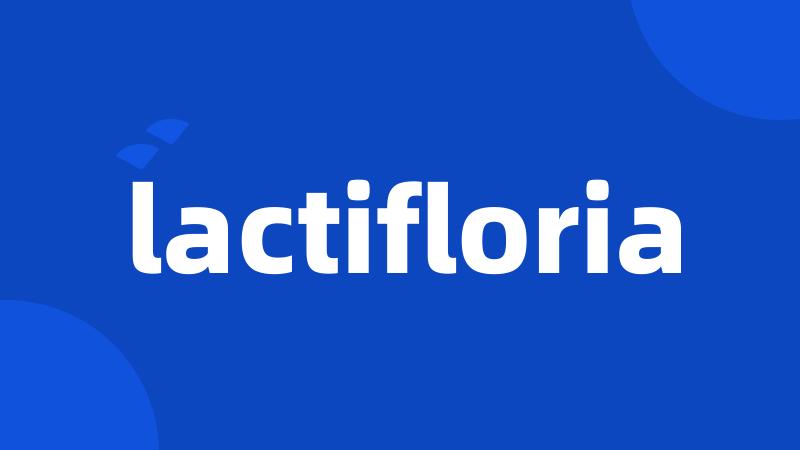 lactifloria