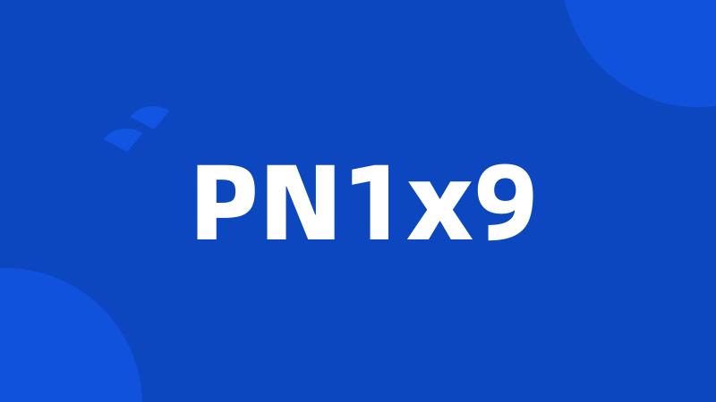 PN1x9