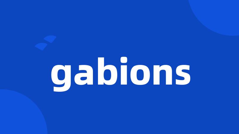 gabions