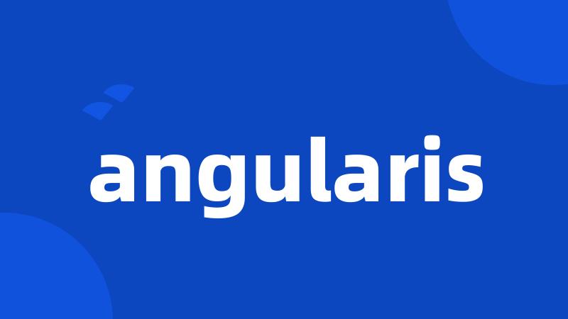 angularis