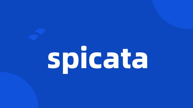 spicata