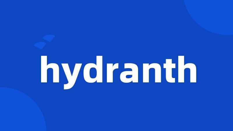 hydranth