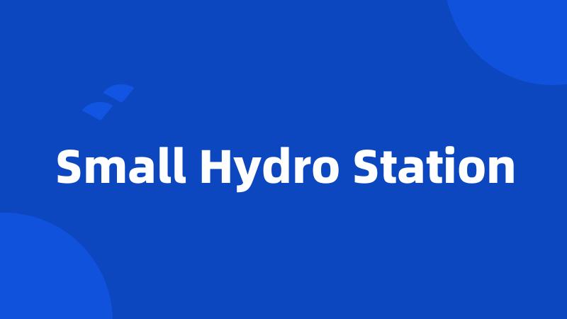 Small Hydro Station