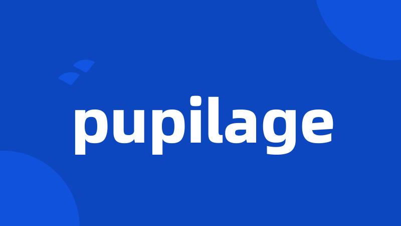 pupilage