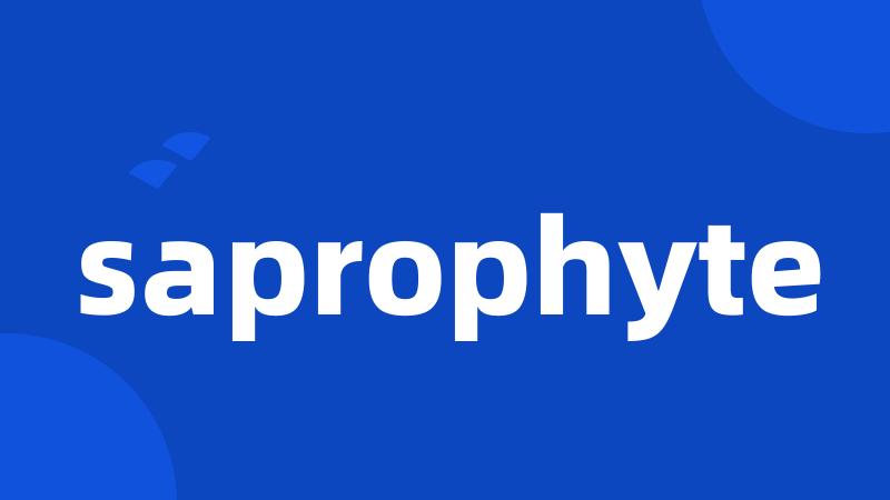 saprophyte