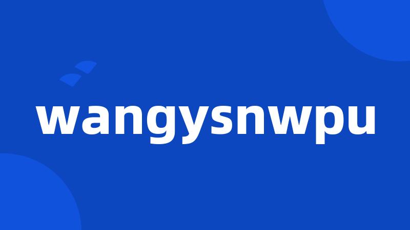 wangysnwpu