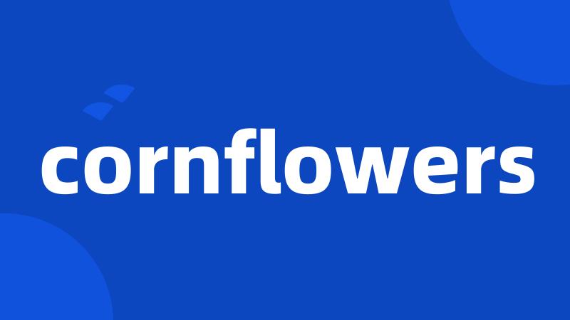 cornflowers