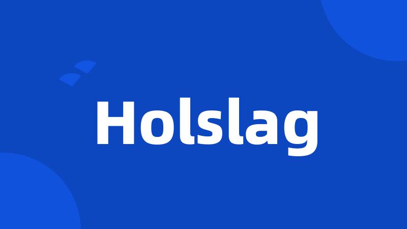 Holslag