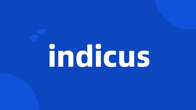 indicus