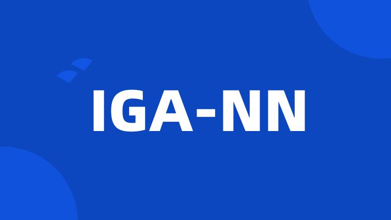 IGA-NN