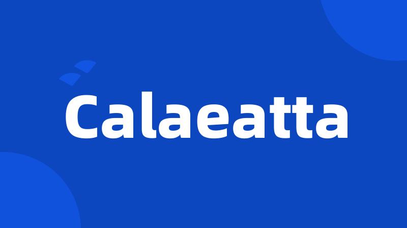 Calaeatta