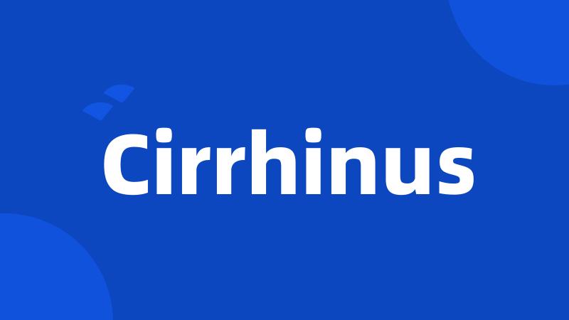 Cirrhinus