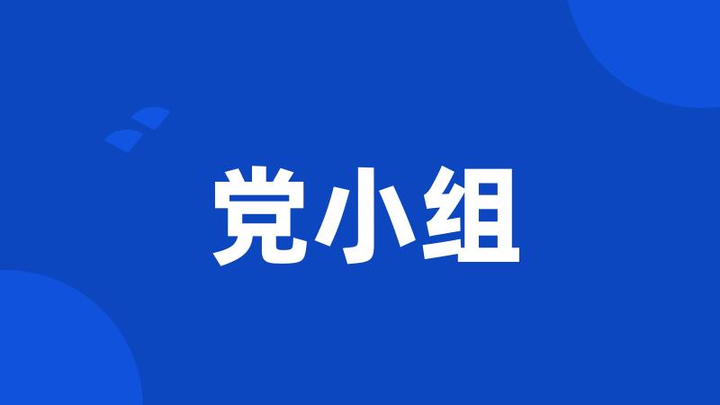 党小组