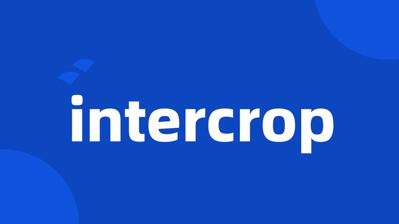 intercrop