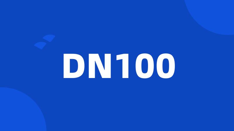 DN100