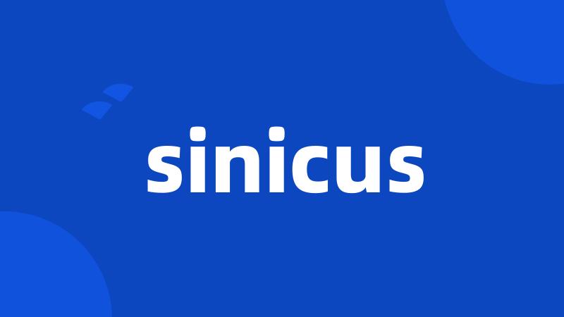 sinicus