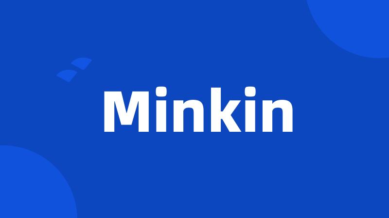 Minkin