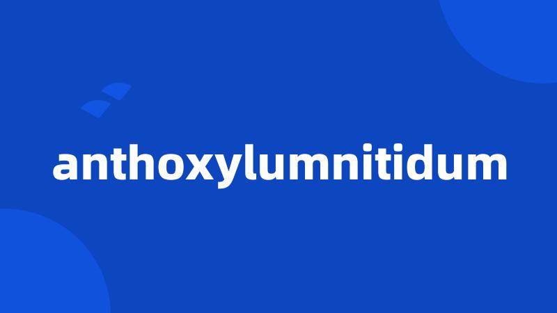 anthoxylumnitidum