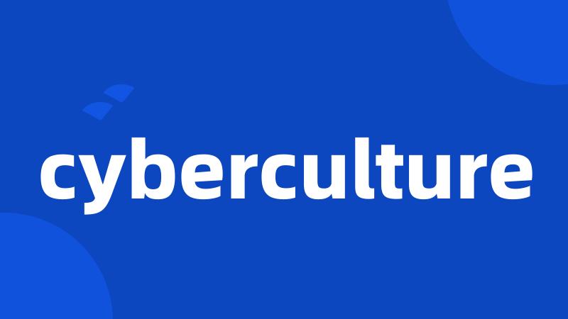 cyberculture