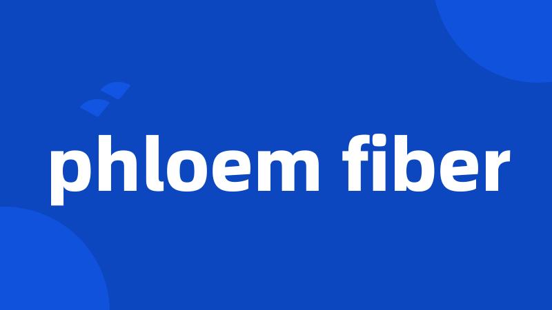 phloem fiber