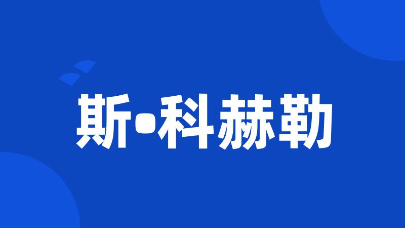 斯•科赫勒