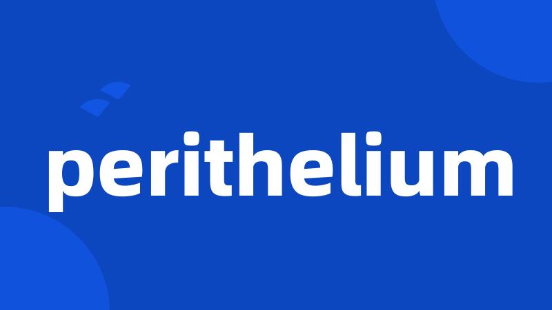 perithelium