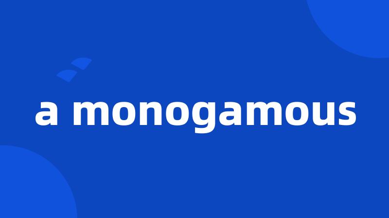 a monogamous