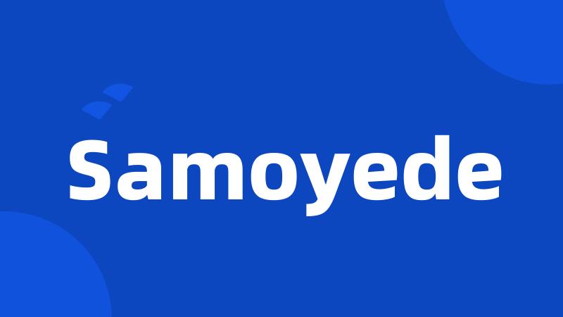 Samoyede