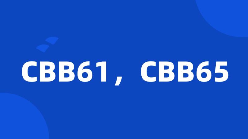 CBB61，CBB65